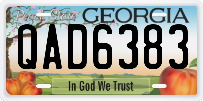 GA license plate QAD6383