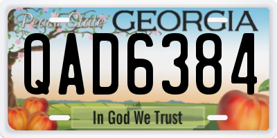 GA license plate QAD6384