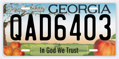 GA license plate QAD6403
