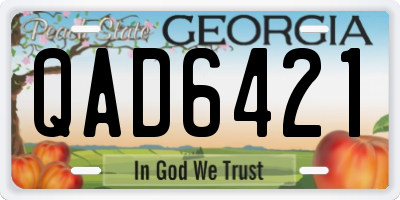 GA license plate QAD6421