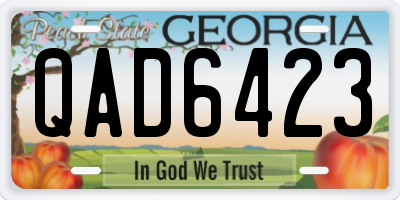 GA license plate QAD6423