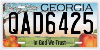 GA license plate QAD6425