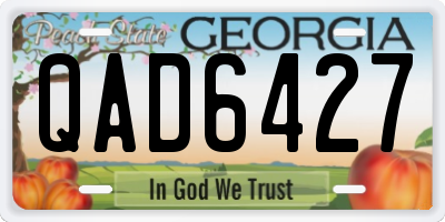 GA license plate QAD6427