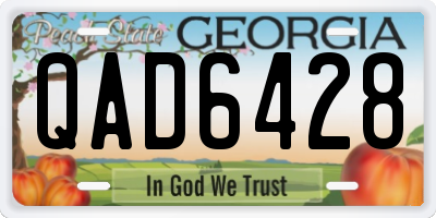 GA license plate QAD6428