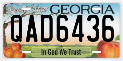 GA license plate QAD6436