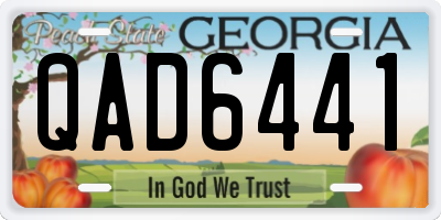 GA license plate QAD6441
