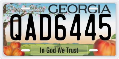GA license plate QAD6445