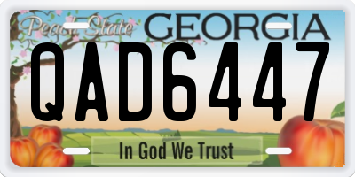 GA license plate QAD6447