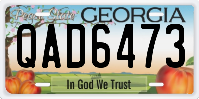 GA license plate QAD6473
