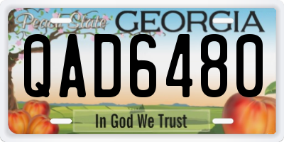 GA license plate QAD6480