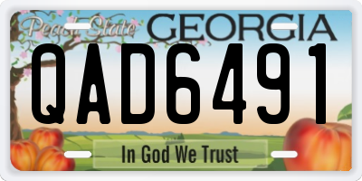 GA license plate QAD6491