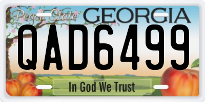 GA license plate QAD6499