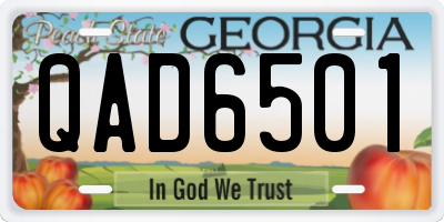 GA license plate QAD6501