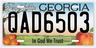GA license plate QAD6503