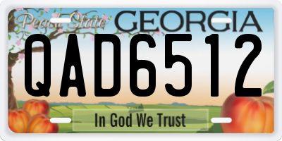 GA license plate QAD6512
