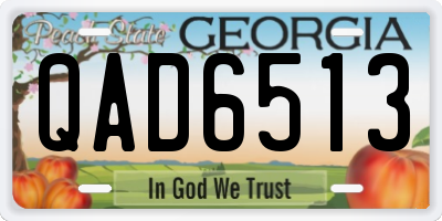 GA license plate QAD6513