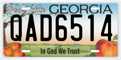 GA license plate QAD6514