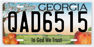 GA license plate QAD6515
