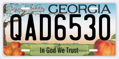 GA license plate QAD6530