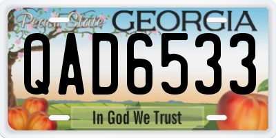 GA license plate QAD6533