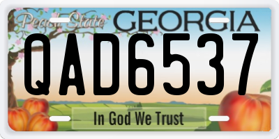 GA license plate QAD6537