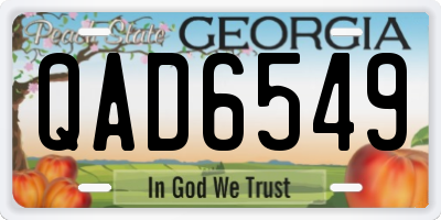 GA license plate QAD6549