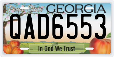 GA license plate QAD6553