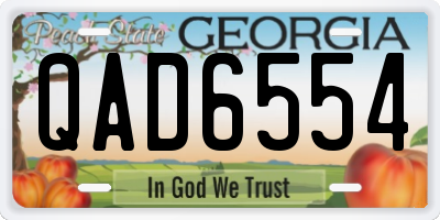 GA license plate QAD6554