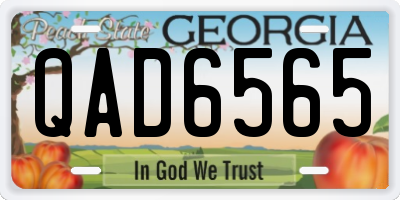 GA license plate QAD6565