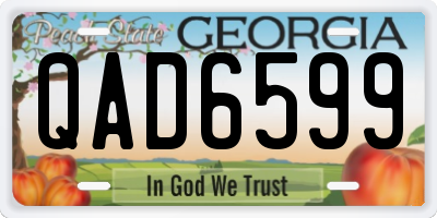 GA license plate QAD6599