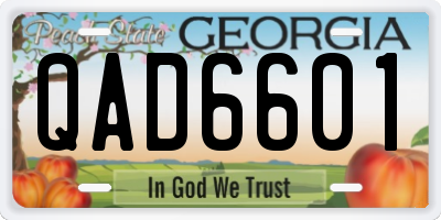 GA license plate QAD6601