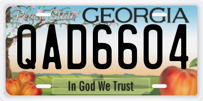GA license plate QAD6604