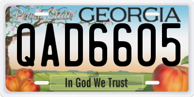 GA license plate QAD6605