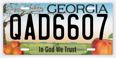 GA license plate QAD6607