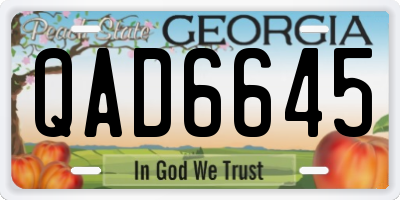 GA license plate QAD6645