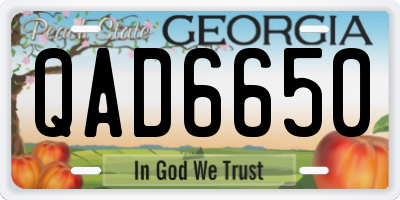 GA license plate QAD6650