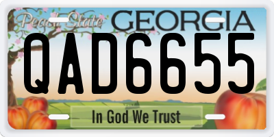 GA license plate QAD6655