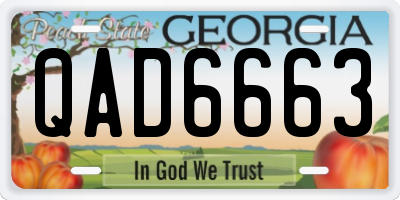 GA license plate QAD6663