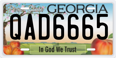 GA license plate QAD6665