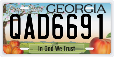 GA license plate QAD6691