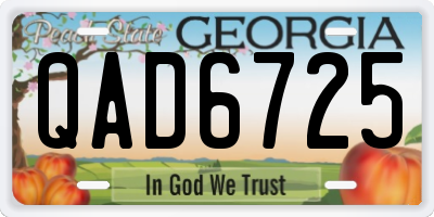 GA license plate QAD6725