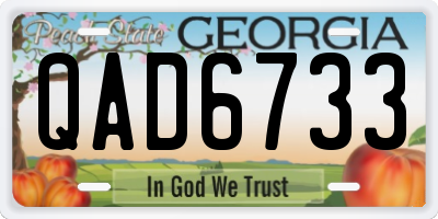 GA license plate QAD6733
