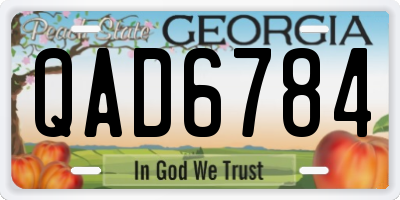 GA license plate QAD6784