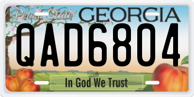 GA license plate QAD6804