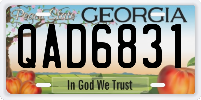 GA license plate QAD6831