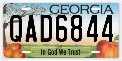 GA license plate QAD6844