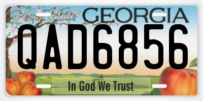 GA license plate QAD6856