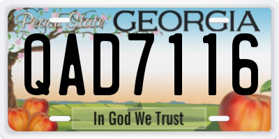 GA license plate QAD7116