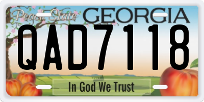 GA license plate QAD7118