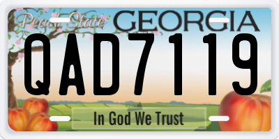 GA license plate QAD7119